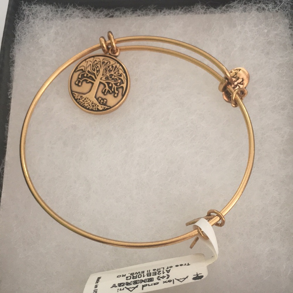 Alex and Ani Tree of Life bracelet